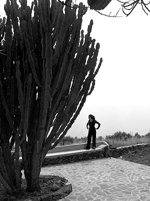Il cactus è proprio grande! Potete ripararvici dal sole!